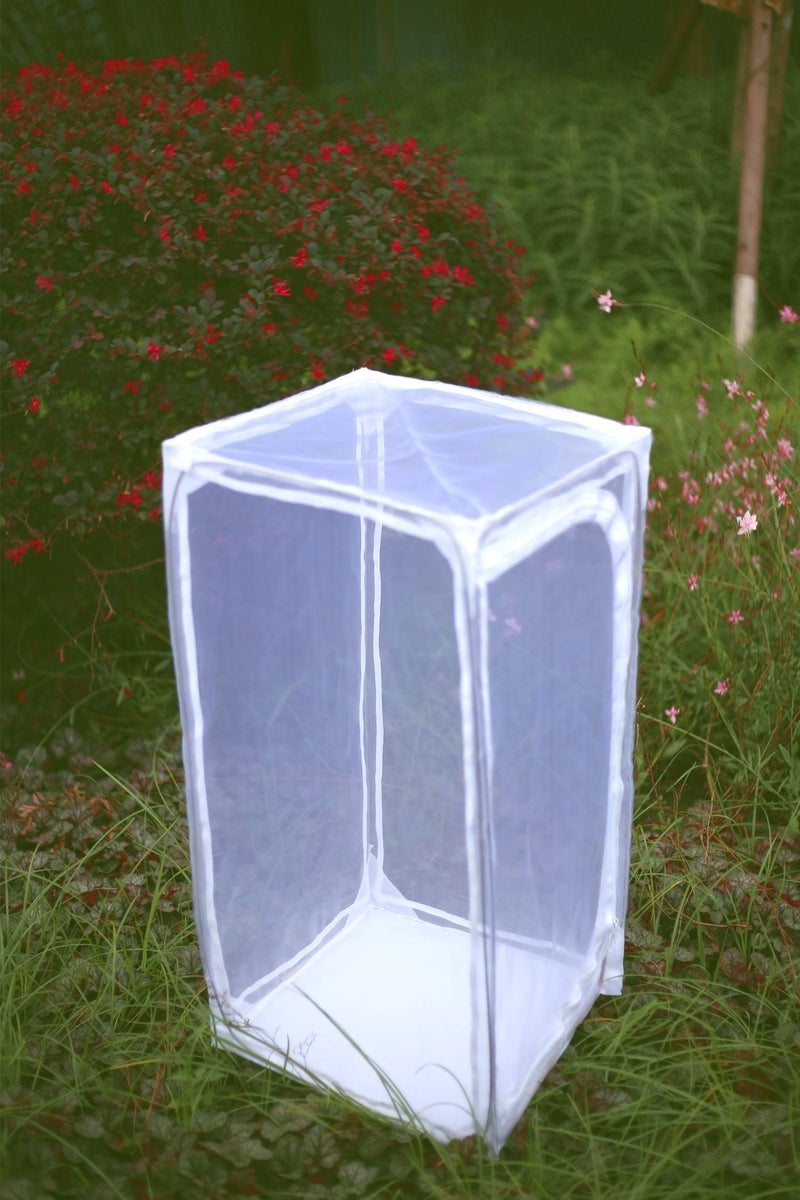 RESTCLOUD 30" Heavy Duty Monarch Butterfly Habitat, Outdoor Collapsible Insect Mesh Cage Terrarium Pop-up with Zipper Protection - Image 5